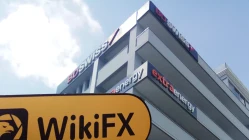 사이트 방문  BDS 마켓은 키프로스-규정 주소가 참으로 확인 됨