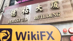 Visiting Hong Kong Broker CNF, Office Exists