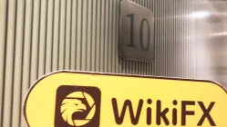 Chuyến thăm tới nhà môi giới HK King -Tên thay đổi?