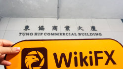 Una visita al sito YDF società a responsabilità limitata a Hong Kong