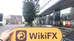 O Escritório de Himawari no Japão é Bogus