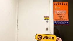 交易商Golden Grand Global 新西兰办公地点不存在