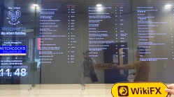 交易商Golden Grand Global 新西兰办公地点不存在