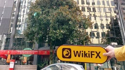 RMFX’s office in New Zealand not found