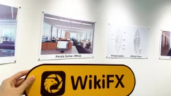 นายหน้านิวซีแลนด์ ANGELO สำนักงานย้ายออกไป