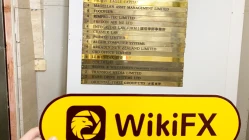 OTT TRADING di Selandia Baru Kantor Ditemukan