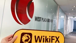  Vistafolioalamat kantor selandia baru tidak ada