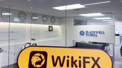 交易XinCheng · 信诚国际新西兰办公地址不存在