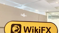 O Escritório de FOREXer na Nova Zelândia é Bogus