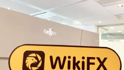 IGICC La oficina de Nueva Zelanda no existe