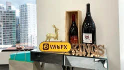 Посещение сайта KINGS FINANCE в Новой Зеландии