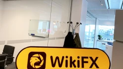 新西兰实地探访交易商KK · 库洛 办公地址不存在