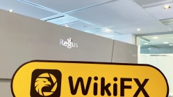 交易商QO Forex · 大洋金联新西兰办公地址不存在