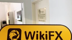 A का दौरा Daccicafx न्यूजीलैंड-अनफाउंड में