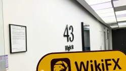 لم يتم العثور على مكتب TP في نيوزيلندا