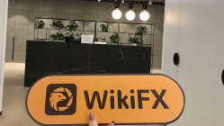 Visiting OZLIMITED in Australia, Office Exists