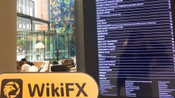 Môi giới Úc SUNFLOWER không tìm thấy