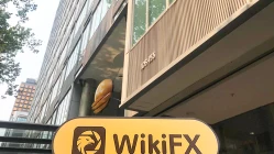 Una visita a MLC en Australia - Oficina encontrada