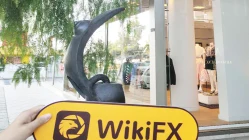 Una seconda visita a Tradeo a Cipro - Trovare un ufficio