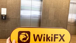 A Site Visit to TF Markets in Australia -- Finding No Office