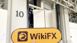 A Visit to COZFX in London UK -- Finding No Office