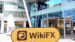 英國倫敦實地探訪外匯交易商Bourse Trade 不存在真實展業場所