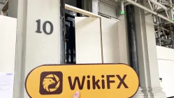 英国伦敦实地探访外汇交易商FXGLK 不存在真实展业场所