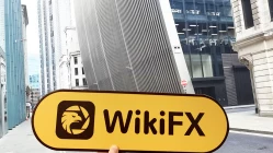 Una visita aMaven en el Reino Unido - No encuentra oficina