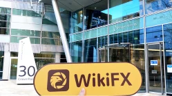 Посещение валютной биржиBoltMarkets в Великобритании - не найти офиса