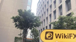 A Visit to Mex Group in Dubai UAE -- Finding No Office