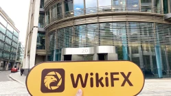 Ein Besuch bei der DevisenbörseKMTL in Großbritannien - Kein Büro finden