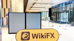 Chuyến thăm HX Financial ở Vương quốc Anh - Không tìm thấy văn phòng