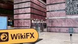 เยี่ยมชมTradevibefx ในสหราชอาณาจักร -- ไม่พบสำนักงาน