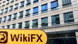 Một chuyến thăm đếnCMS ở Vương quốc Anh - Không tìm thấy văn phòng