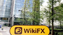 英国伦敦实地探访外汇交易商Alpfin不存在展业场所