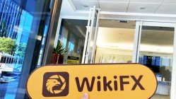 英国伦敦实地探访外汇交易商MDF不存在展业场所