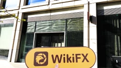 Chuyến thăm BSI ở Vương quốc Anh - Không tìm thấy văn phòng