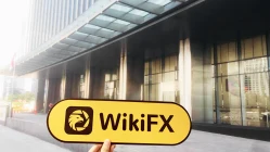 Một chuyến thăm đếnPT SGB ở Jakarta Indonesia - Quy mô văn phòng không chắc chắn