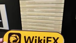 日本实地探访交易商OKASAN办公地点真实存在