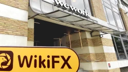 Một chuyến thăm đếnSVK Markets ở Vương quốc Anh - Không tìm thấy văn phòng