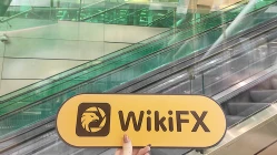 Một chuyến thăm đếnSVK Markets ở Vương quốc Anh - Không tìm thấy văn phòng