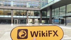 英国伦敦实地探访外汇交易商NEX不存在展业场所