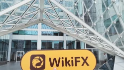 英国伦敦实地探访外汇交易商CFAMFX不存在展业场所