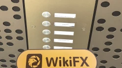 เยี่ยมชมSTC Trade ในสหราชอาณาจักร -- ไม่พบสำนักงาน