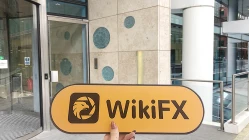 英国伦敦实地探访外汇交易商ASN不存在展业场所