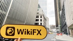 เยี่ยมชม King&Shaxson ในสหราชอาณาจักร -- ไม่พบสำนักงาน