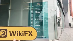 A Visit to RoboMarkets in Cyprus -- Office Confirmed Existed