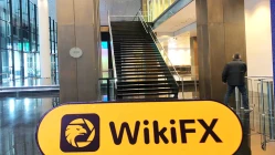 德国法兰克福实地探访外汇交易商SELINUS不存在真实展业场所