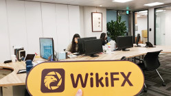 中国台湾实地探访交易商ACDEX 展业场所真实存在