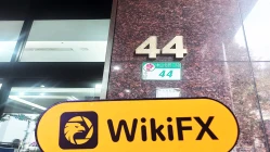 中國臺灣實地探訪交易商臺新證券 存在真實展業場所